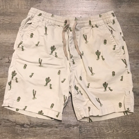 Urban Outfitters Other - UO Cactus Shorts 🌵